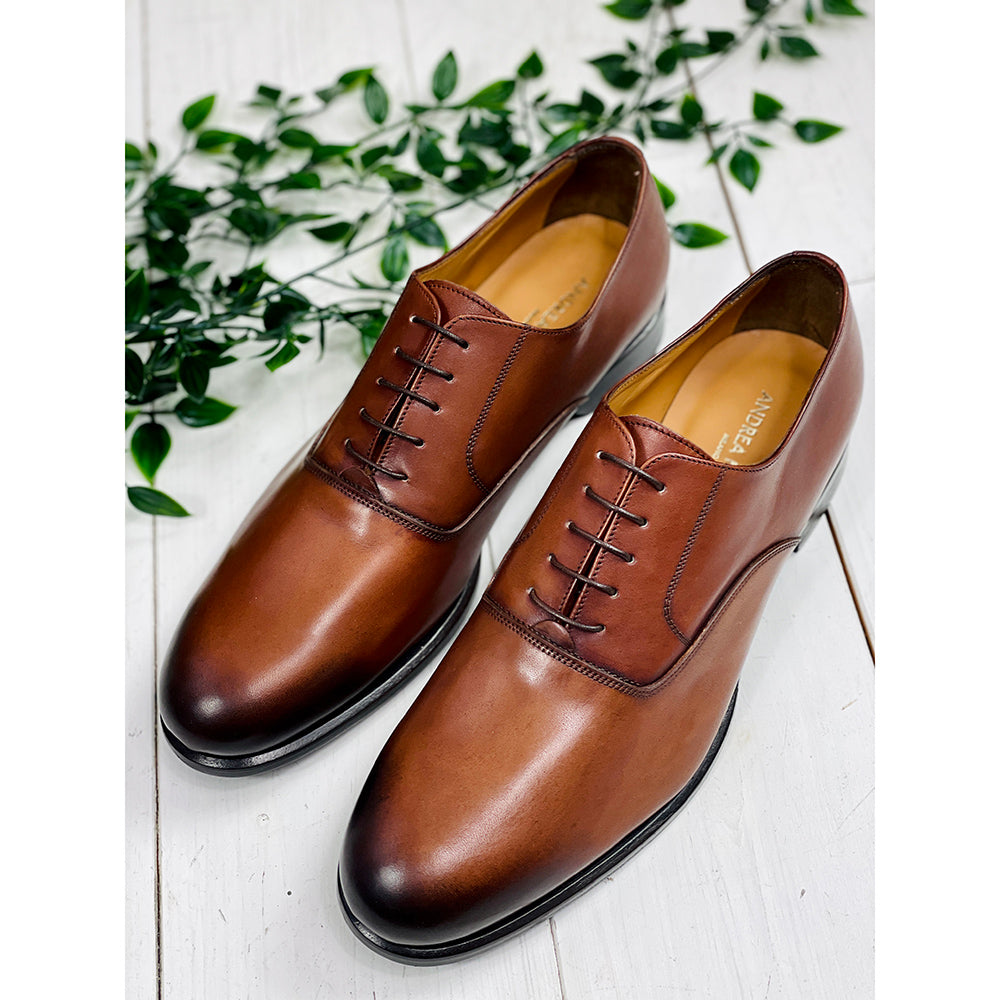 Brauner Lederschuh ⎪ Arezzo Oxford ⎪ Nobile