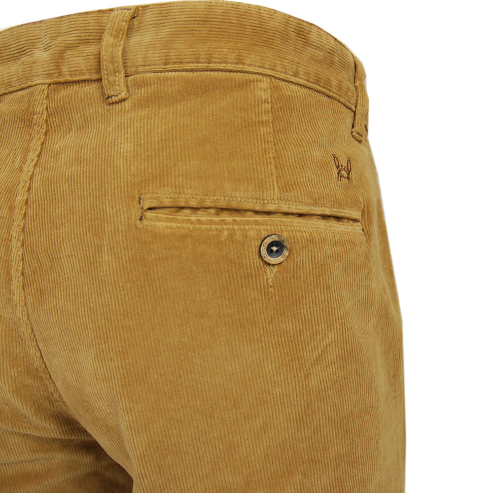 Brown Velvet Pants⎪C. Mikelo