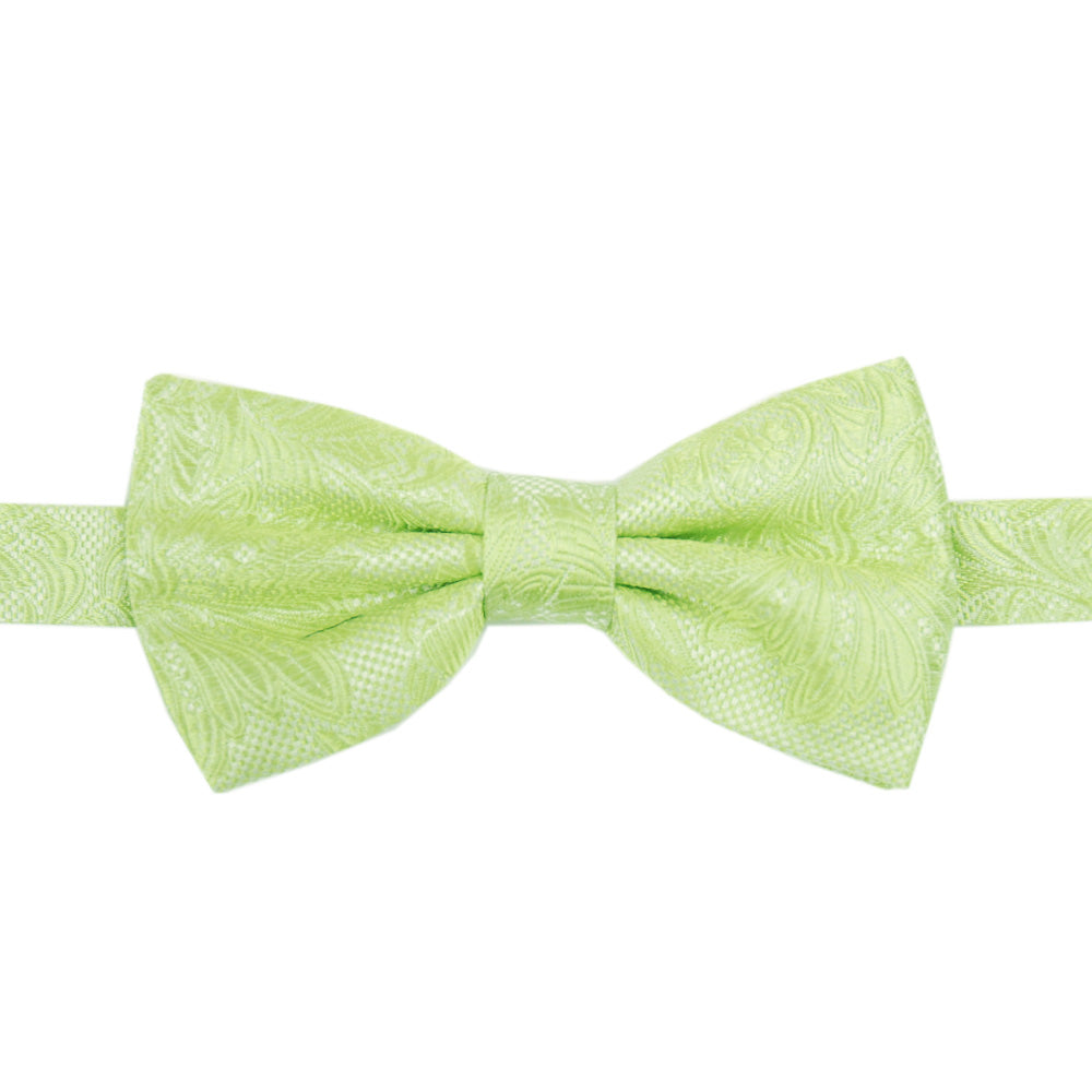 Light green bow ⎪ Giorgio Redaelli
