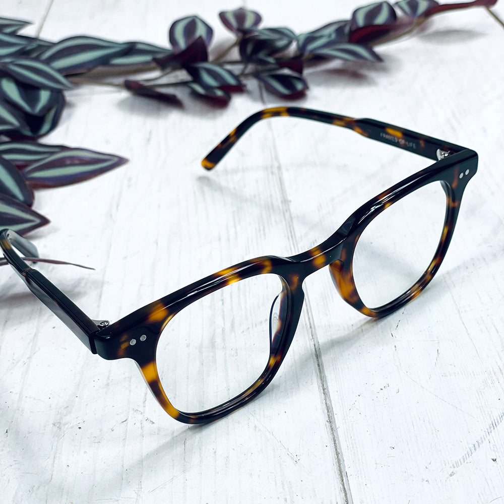 Spektre Sonnenbrille Cosmopolis Gold