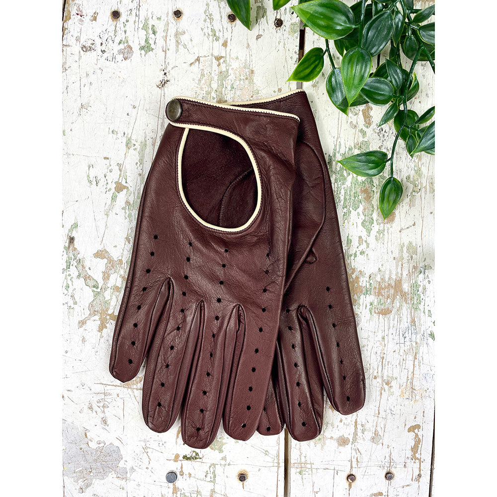 Mörkbruna körhandskar⎪ Omega Gloves
