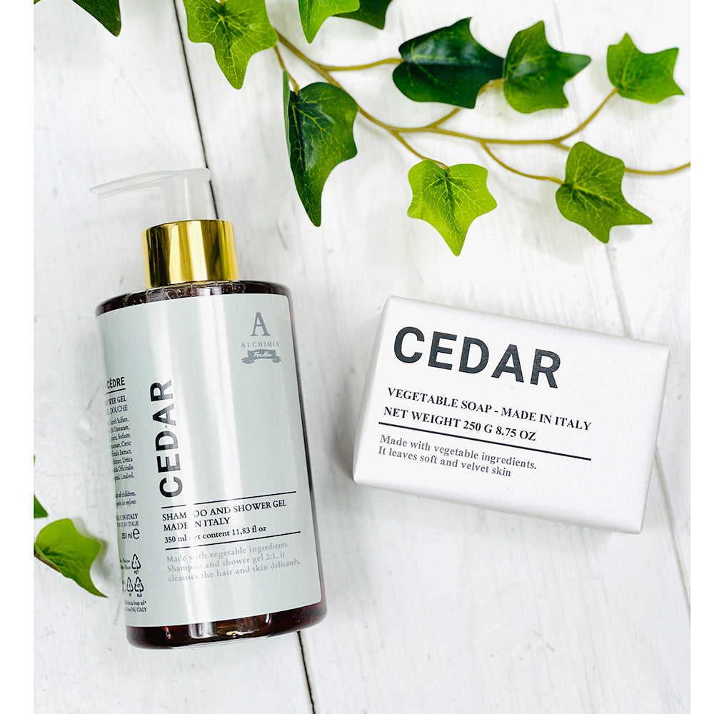 Palasaippua ⎪ Cedar ⎪  Alchimia Italy